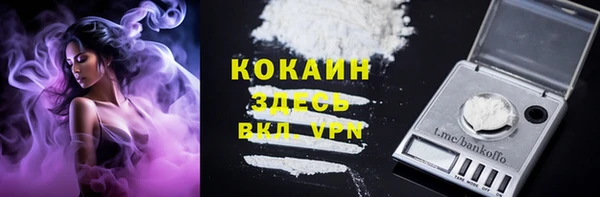 apvp Володарск