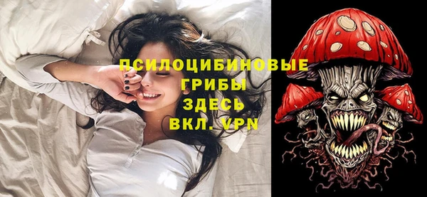 apvp Володарск