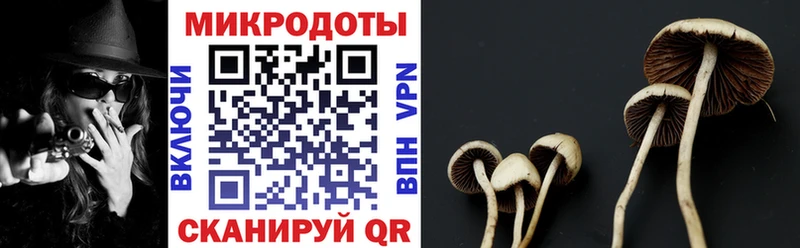 как найти закладки  дарк нет состав  Галлюциногенные грибы Psilocybine cubensis  Яблоновский 